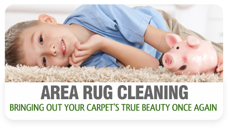 area rug cleaning