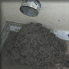 dryer vent cleaning